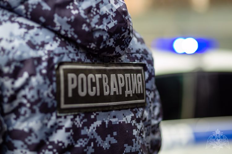 В Краснодаре росгвардейцы задержали мужчину по подозрению в угоне автомобиля