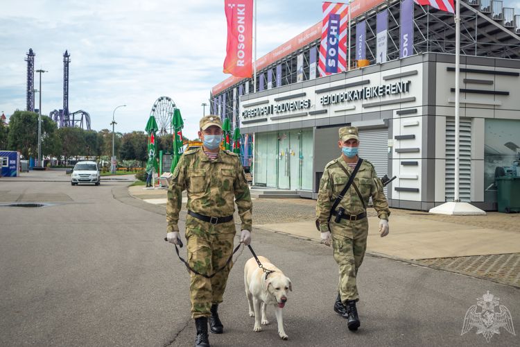 Росгвардия обеспечила безопасность российского Гран-при «Формулы-1»