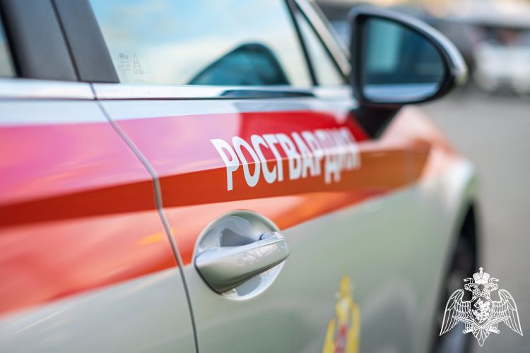 В Краснодаре росгвардейцы пресекли незаконный оборот наркотиков
