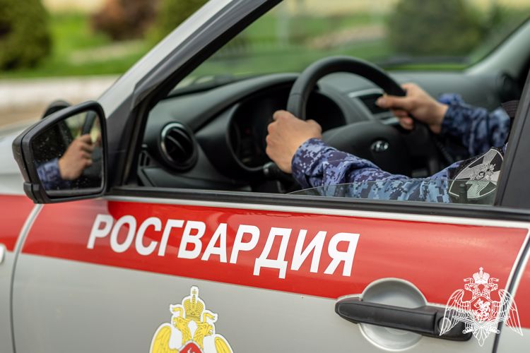 Противоправные действия нарушителей пресекли сотрудники Росгвардии на Кубани