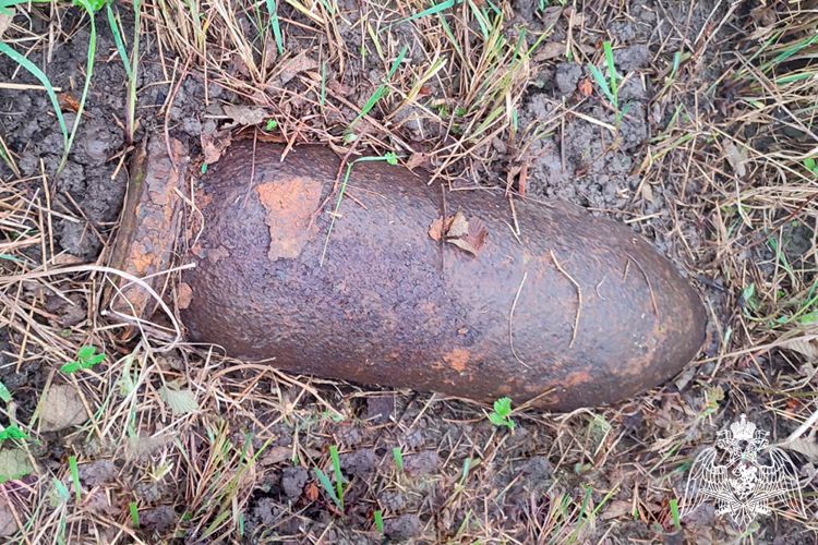 БОЕПРИПАСЫ ВРЕМЕН ВОВ УНИЧТОЖИЛИ ВЗРЫВОТЕХНИКИ РОСГВАРДИИ В НЕСКОЛЬКИХ РАЙОНАХ КУБАНИ
