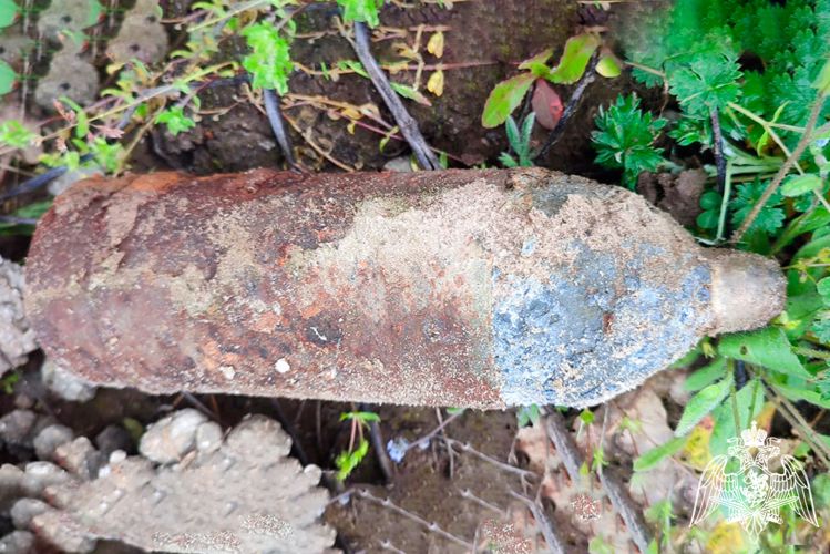 Одиннадцать боеприпасов времен Великой Отечественной войны уничтожили специалисты Росгвардии на Кубани