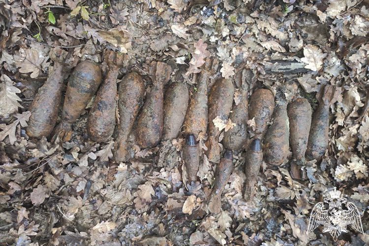 Более 30 боеприпасов времен ВОВ уничтожили взрывотехники Росгвардии на Кубани