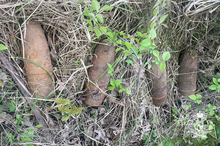 Более 30 боеприпасов времен ВОВ уничтожили взрывотехники Росгвардии на Кубани
