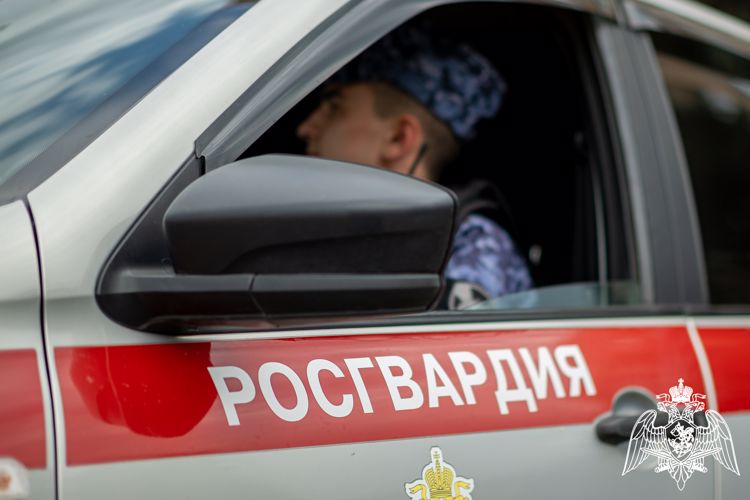 Сотрудники Росгвардии пресекли нарушения общественного порядка на территории отелей в Анапе и Сочи