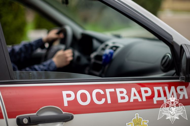 Противоправные действия мужчины в краснодарском супермаркете пресекли росгвардейцы