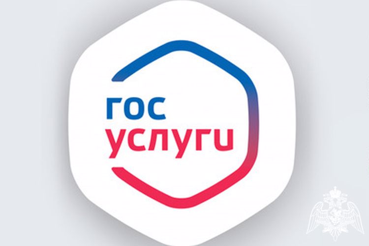 Росгвардия информирует, что списанное оружие можно зарегистрировать через портал Госуслуг
