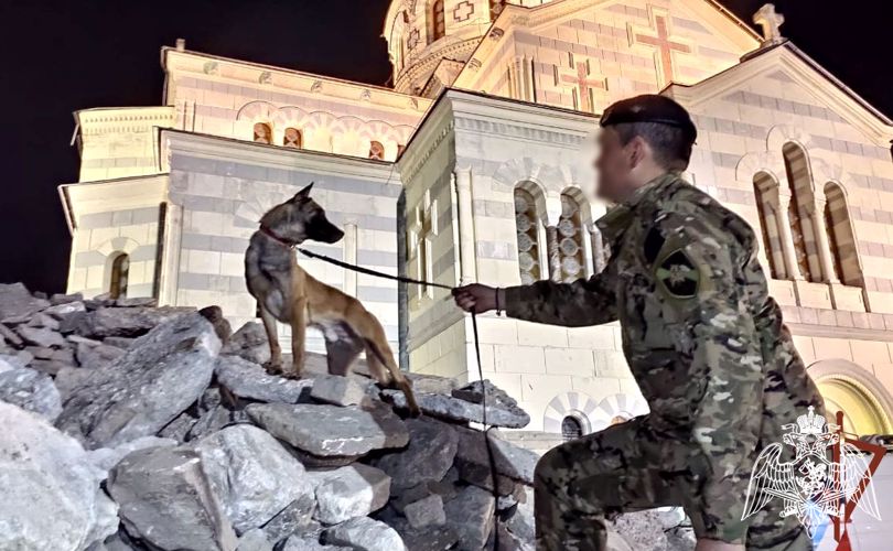 Специалисты-кинологи Южного округа Росгвардии отмечают профессиональный праздник