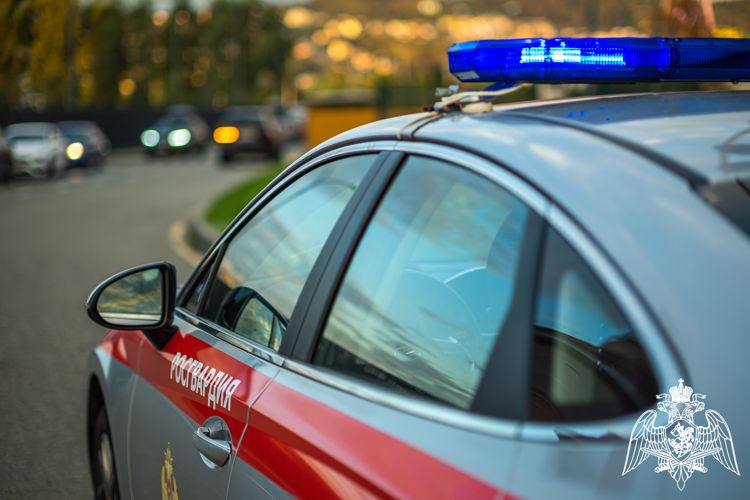 В Анапе сотрудники Росгвардии задержали приезжую по подозрению в краже