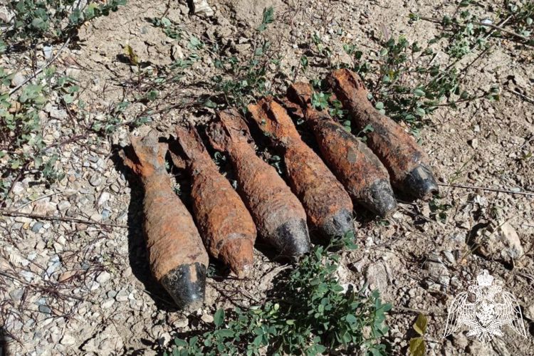 Почти два десятка боеприпасов времен Великой Отечественной войны уничтожили взрывотехники Росгвардии на Кубани