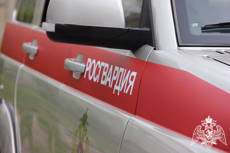 Сотрудники Росгвардии задержали злоумышленницу, совершившую несколько хищений в одном и том же ТЦ Новороссийска