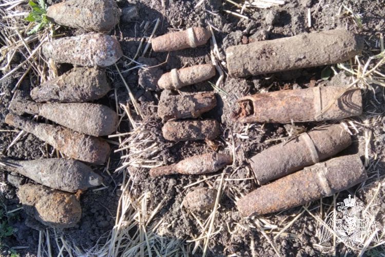 На Кубани взрывотехники Росгвардии уничтожили боеприпасы времен Великой Отечественной войны, обнаруженные в поле