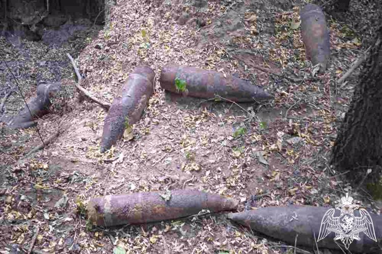 Более 60 боеприпасов времен ВОВ уничтожили взрывотехники Росгвардии в Краснодарском крае