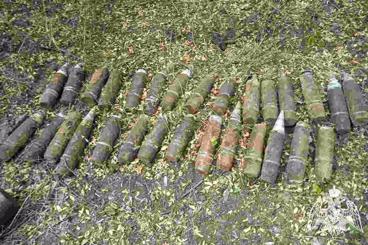 Более 60 боеприпасов времен ВОВ уничтожили взрывотехники Росгвардии в Краснодарском крае