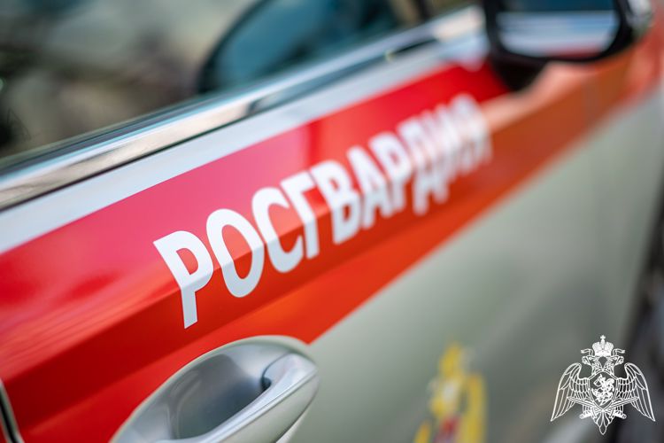 В Анапе росгвардейцы выявили находившуюся в розыске девушку
