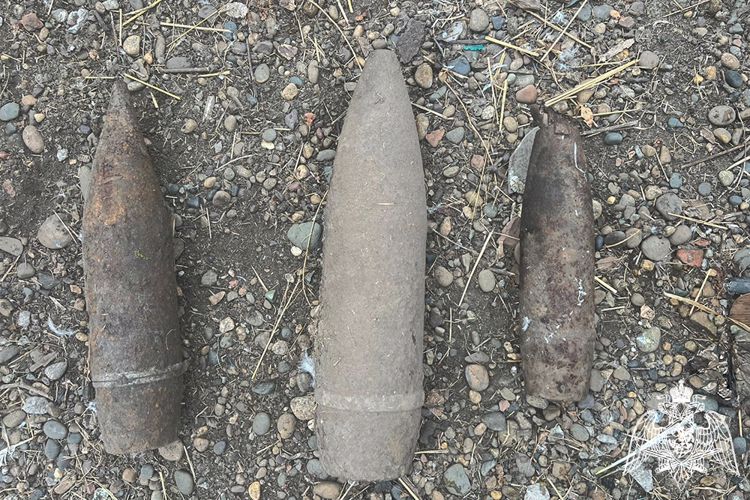На Кубани взрывотехники Росгвардии уничтожили 12 боеприпасов времен Великой Отечественной 