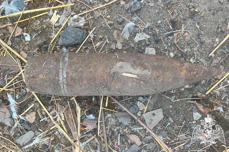 На Кубани взрывотехники Росгвардии уничтожили 12 боеприпасов времен Великой Отечественной 