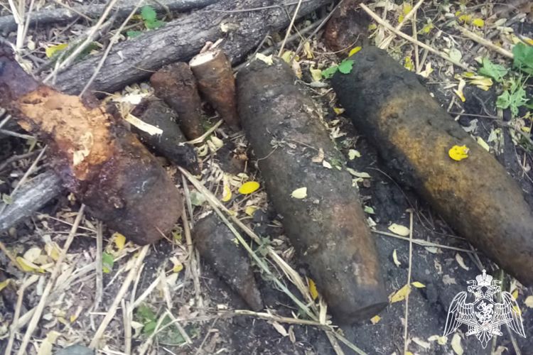 На Кубани взрывотехники Росгвардии уничтожили 12 боеприпасов времен Великой Отечественной 