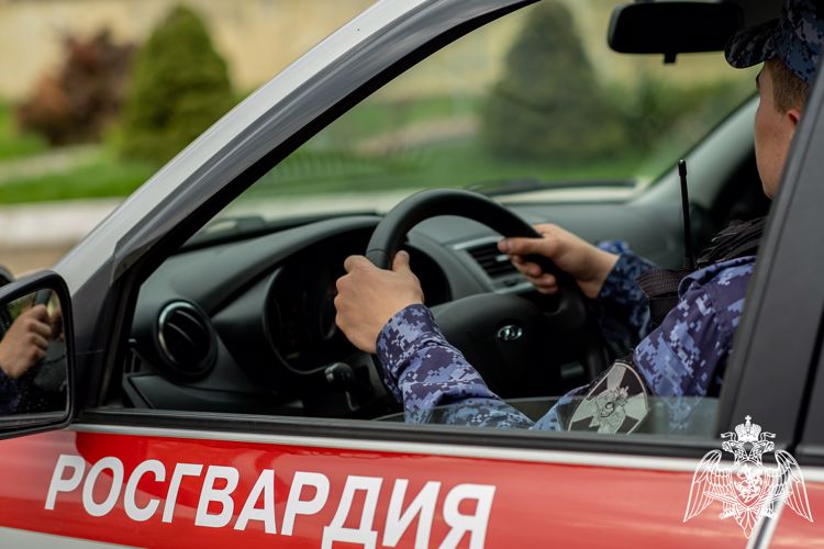 В Краснодаре сотрудники Росгвардии задержали подозреваемую в покушении на сбыт наркотического средства в крупном размере