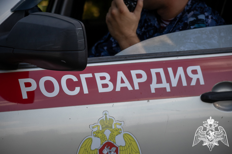 В Кропоткине росгвардейцы задержали мужчину по подозрению в хищении мобильного телефона с территории рынка