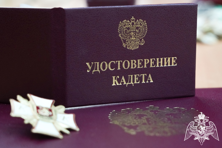 «Неделя мужества» с Росгвардией прошла на Кубани