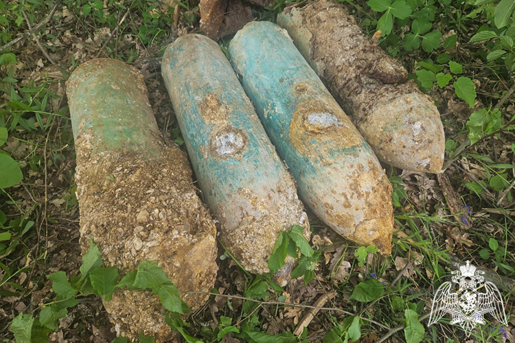 В Крымском районе взрывотехники Росгвардии уничтожили арсенал боеприпасов периода Великой Отечественной войны