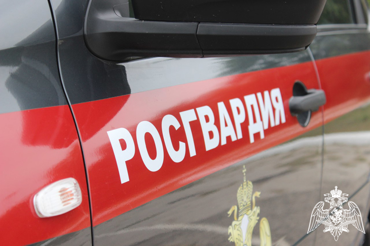 Росгвардейцы обеспечили правопорядок во время Радоницы на Кубани