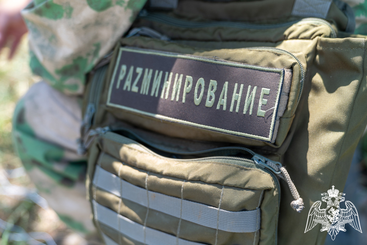 На Кубани прошли сборы со взрывотехниками подразделений Росгвардии 