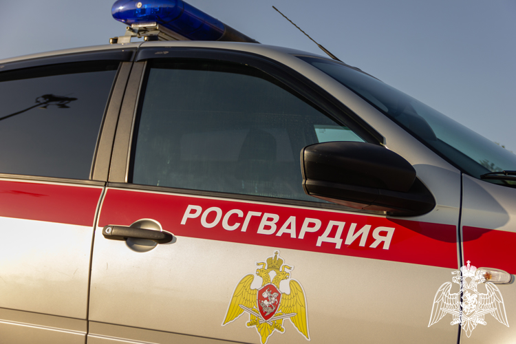 Нарушение общественного порядка на пляже в Сочи пресекли росгвардейцы