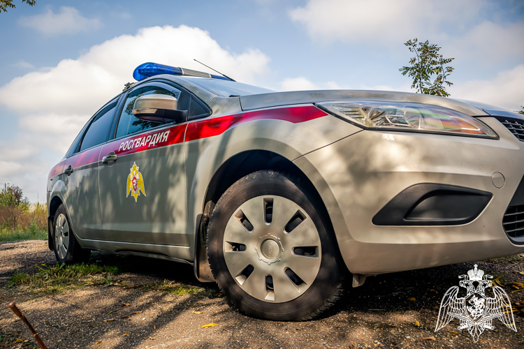 В Сириусе росгвардейцы задержали разыскиваемого за кражу телефона