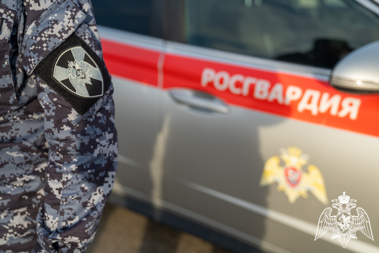 В Геленджике росгвардейцы пресекли мелкое хулиганство на набережной 