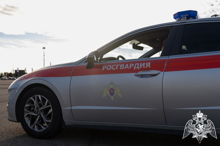 Нетрезвого водителя выявили  сотрудники Росгвардии в Анапе 