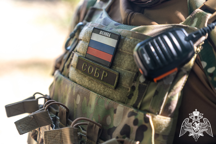 В Краснодаре при содействии СОБР Росгвардии задержан подозреваемый в неправомерном доступе к компьютерной информации