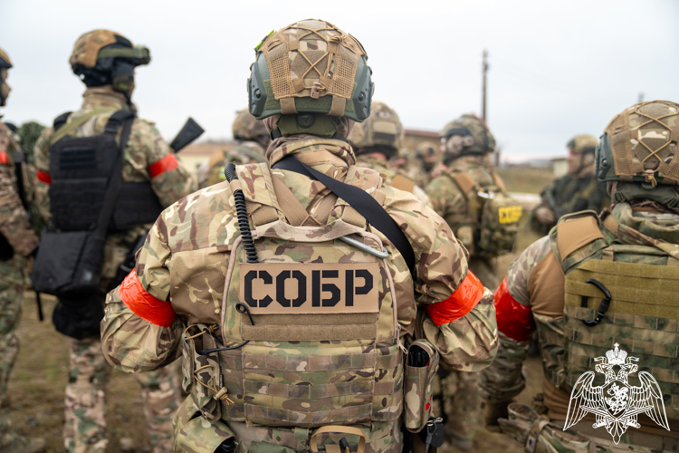 При содействии Росгвардии за незаконную добычу песка задержан кубанский чиновник 