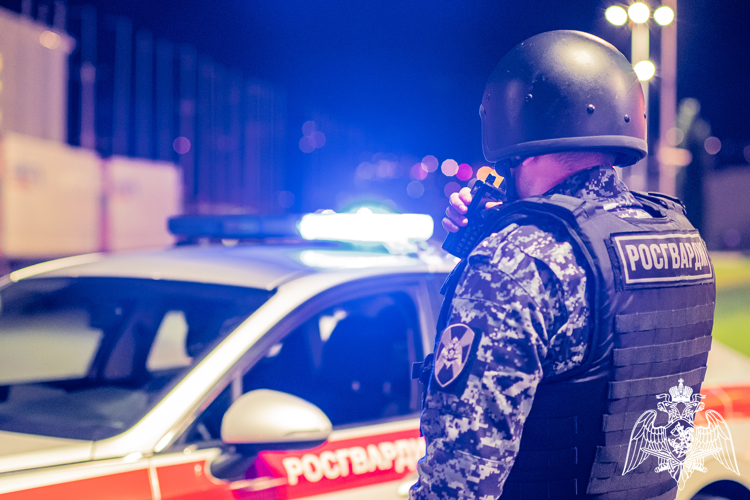 В Краснодаре росгвардейцы задержали мужчину, повредившего чужой автомобиль