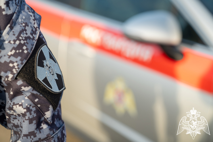 В Анапе росгвардейцы задержали мужчину по подозрению в хищении из сетевого магазина