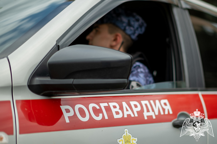 В Краснодаре росгвардейцы задержали находящегося в федеральном розыске мужчину 