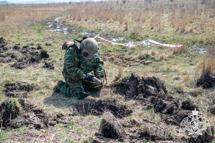 В Крымском районе взрывотехники Росгвардии уничтожили 62 боеприпаса времен Великой Отечественной войны 