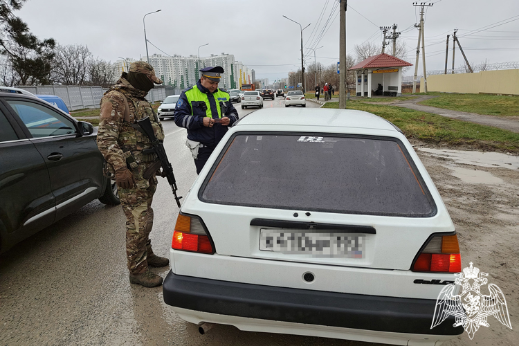 В Анапе при содействии Росгвардии провели масштабную профилактическую операцию