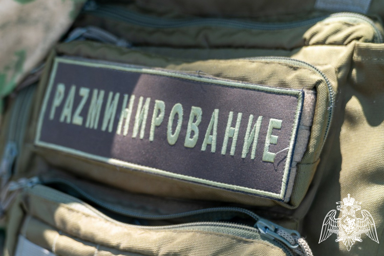 Взрывотехники Росгвардии обезвредили на Кубани 62 боеприпаса времен Великой Отечественной войны