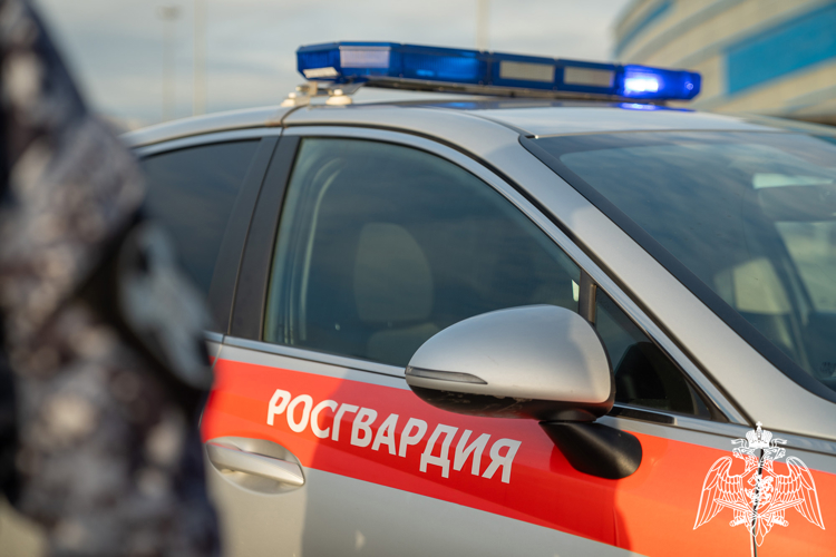 Сотрудники Росгвардии пресекли хищения в гипермаркетах Краснодара и Новороссийска