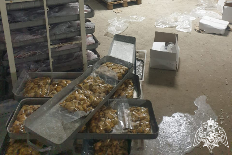 Около 40 тонн незаконно добытых биологических ресурсов изъято в Темрюкском районе при содействии Росгвардии