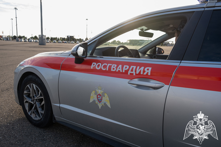 Сотрудники Росгвардии задержали агрессивного мужчину на пляже под Геленджиком