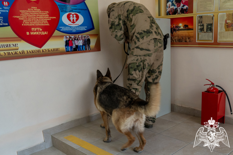 В Краснодаре, Сочи и на федеральной территории Сириус взрывотехники Росгвардии обследуют избирательные участки