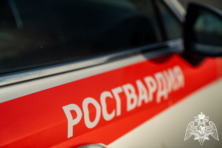В Краснодаре росгвардейцы пресекли конфликт между участниками ночного ДТП