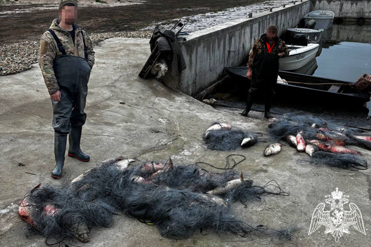 В Приморско-Ахтарском районе при силовой поддержке Росгвардии пресечены факты незаконной добычи водных биоресурсов