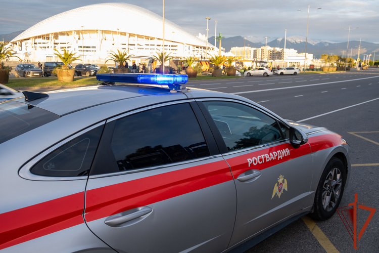 Сотрудники Росгвардии пресекли нарушения общественного порядка в гостиницах Сочи и Сириуса 