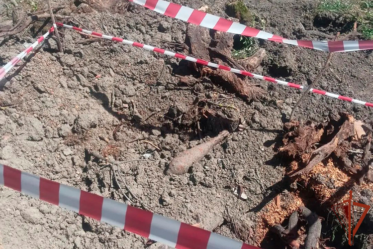 Минометную мину времен войны уничтожили взрывотехники Росгвардии в Красноармейском районе