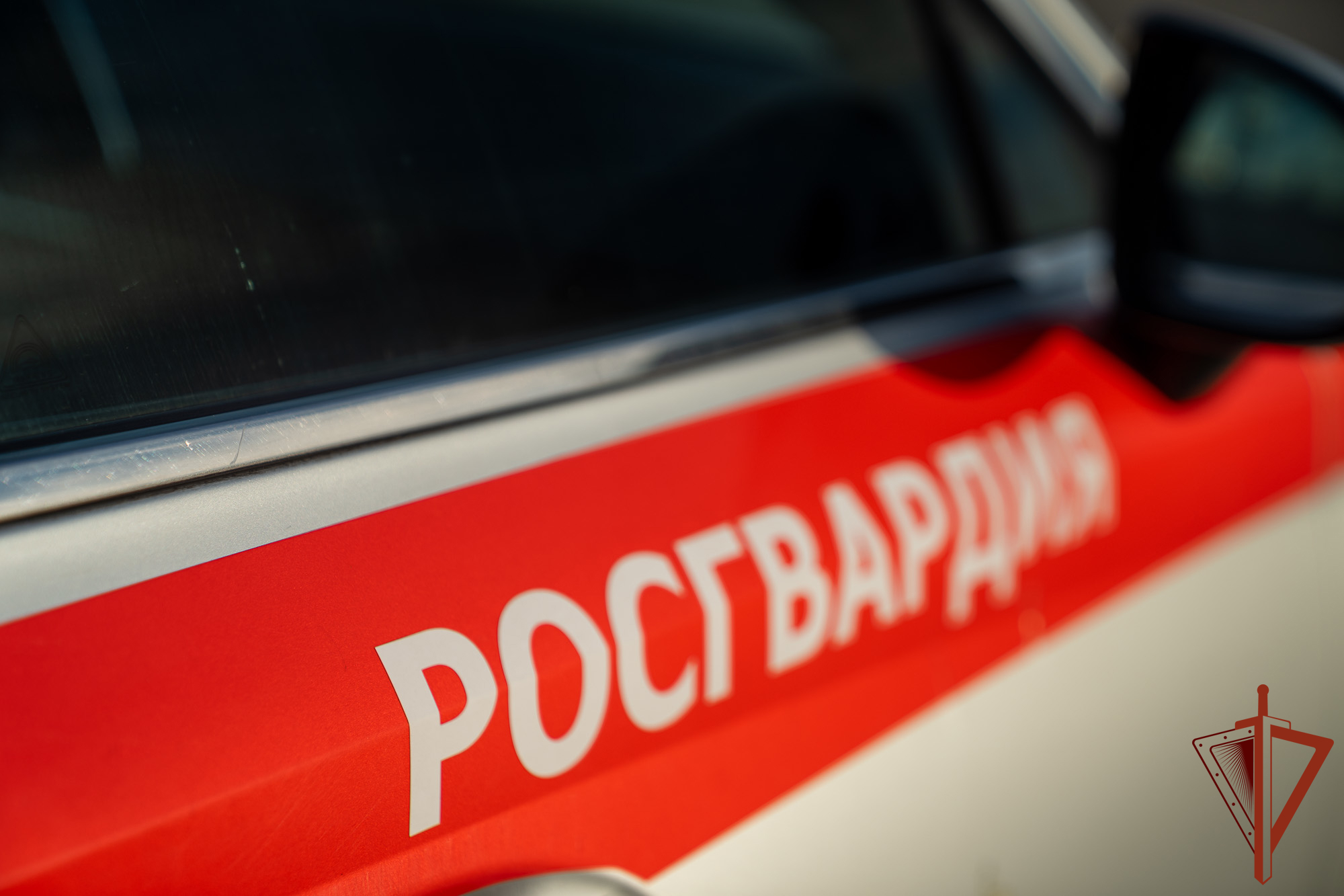 Нарушение общественного порядка пресекли на пляже в Новороссийске