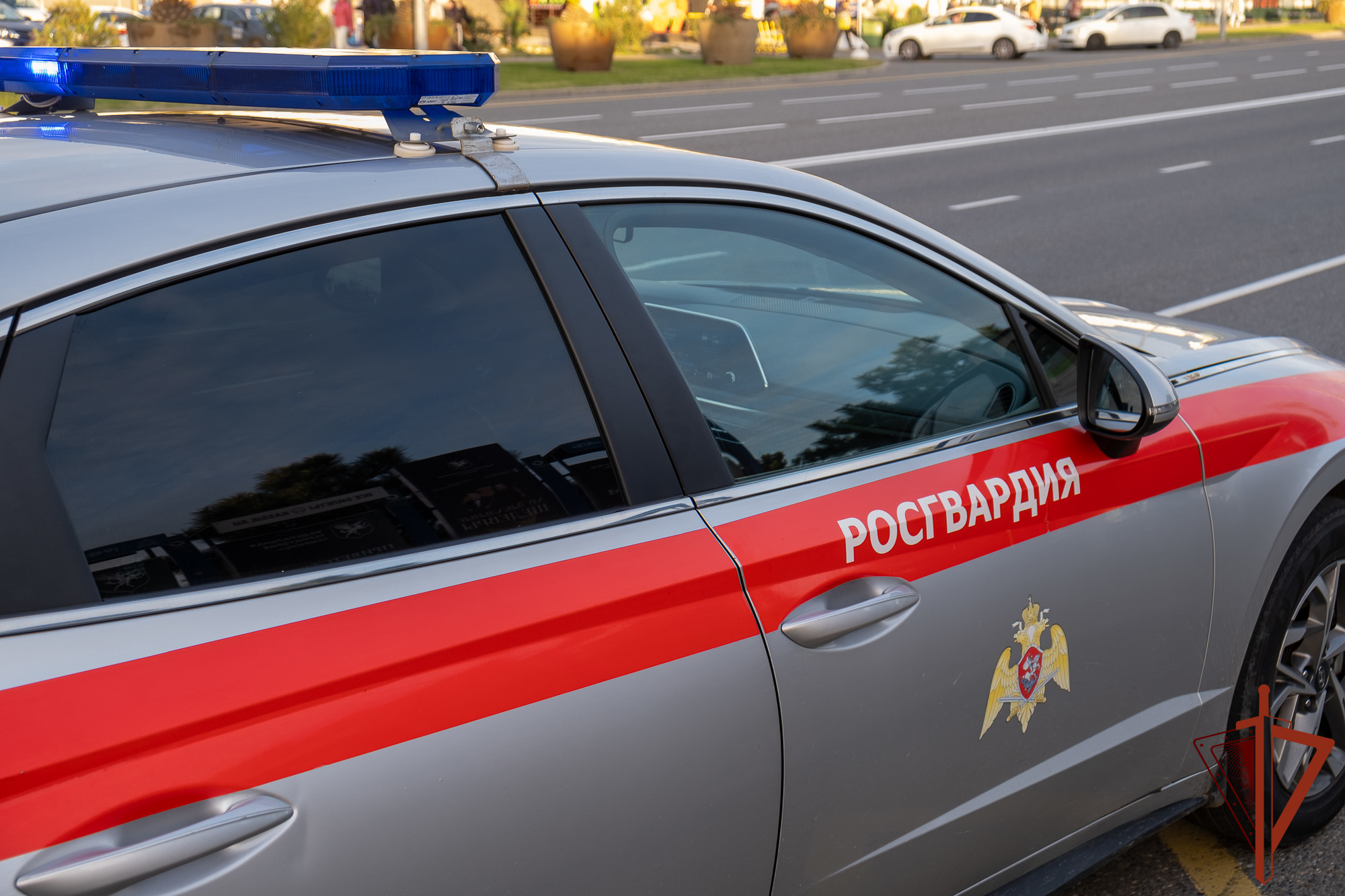 В Сочи татуировка с розой выдала находившуюся в розыске женщину